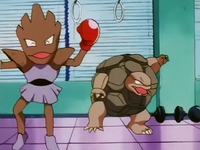 Rudy's Hitmonchan