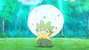 Eldegoss anime.png