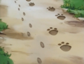 Footprints of Togepi and Houndoom in Houndoom's Special Delivery