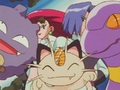 Meowth's missing fang