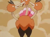 Extreme Pokémon Race Dodrio.png