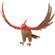 Talonflame