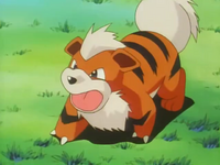 Lara Laramie's Growlithe