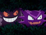 PSA Gengar Haunter.png