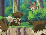 Petalburg Forest Sentret.png