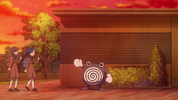 Poliwhirl Indigo Academy.png