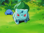 Bulbasaur and the Hidden Village