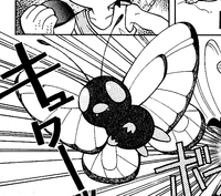 Midori's Butterfree