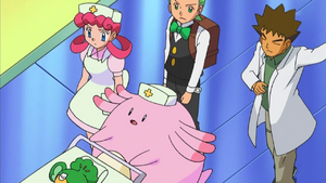 Nurse Joy and Chansey.png