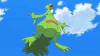 Sawyer's Sceptile