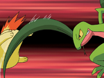 Ash Grovyle Pound.png