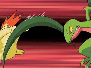 Ash Grovyle Pound.png