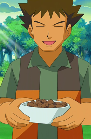 Brock Pokémon food.png