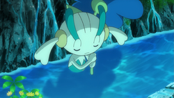 Blue Flower Floette anime.png