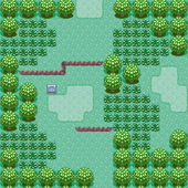 Hoenn Route 101 E.png