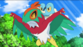 Hawlucha's miscolored legs