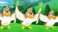 Goh Farfetch'd Double Team.png