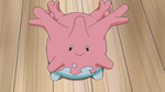 Misty Corsola.png