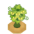 RawstTreeBloomVI XY.png