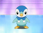 Dawn Piplup debut.png