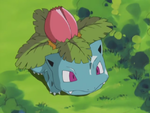 Jimmy Ivysaur.png