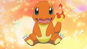 Leon Charmander.png