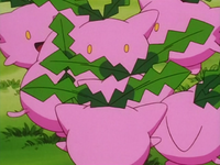 Mariah's Hoppip