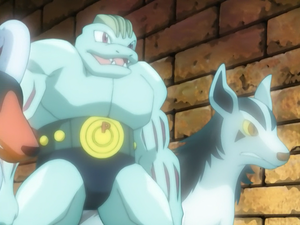 Mirage Machoke Mightyena.png