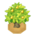 PinapTreeBerryVI XY.png