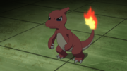 Red Charmeleon PO.png