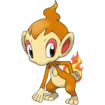 Chimchar