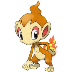 Chimchar