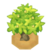 HondewTreeBuddingVI XY.png