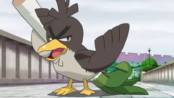 Ash Farfetch'd.png