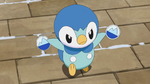 Lauren Piplup.png