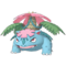 Leaf & Mega Venusaur