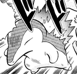 Oak Cyndaquil PM.png