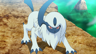 Goh Absol.png