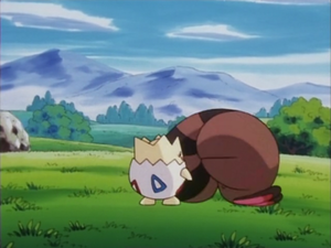 Sentret Defense Curl.png