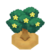 TangaTreeBloomVI XY.png