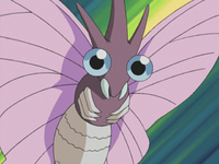 Chaz's Venomoth