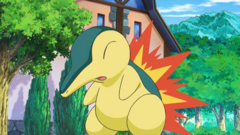 Dawn and Cyndaquil