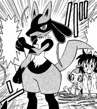 Manami's Lucario