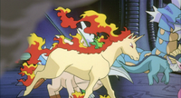 Neesha's Rapidash in Mewtwo Strikes Back