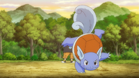 Tierno's Wartortle