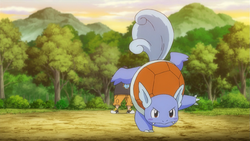 Tierno Wartortle.png