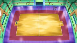 Nacrene Gym field.png