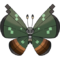 0666Vivillon-Jungle.png