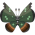 Vivillon