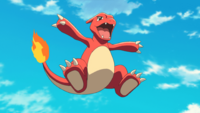 As a Charmeleon